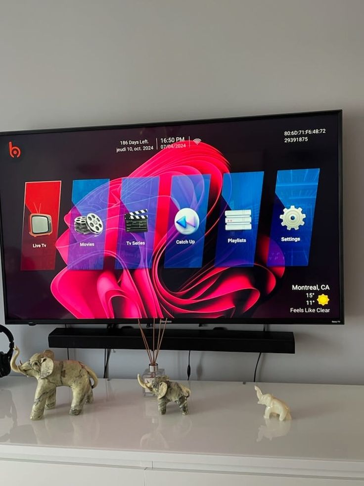 IPTV viewing setup photo supplied for the project 5